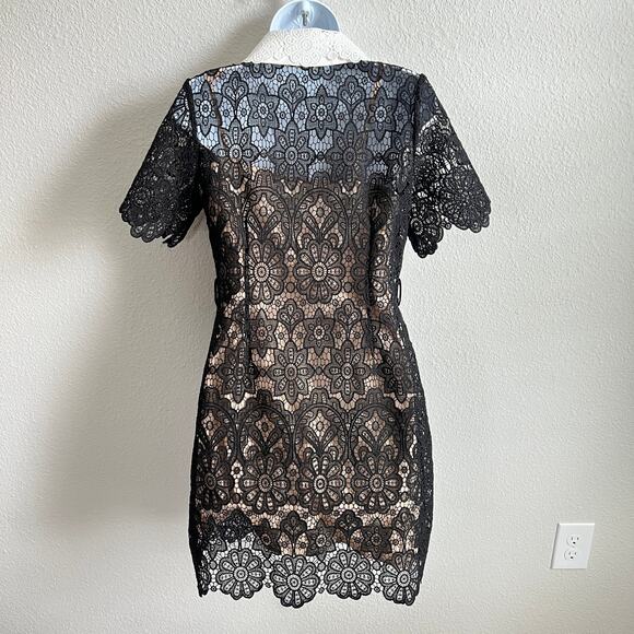 Peekskill Black Lace Collared Mini Dress Women's S Sheer Lined Button Front - Picture 6 of 8